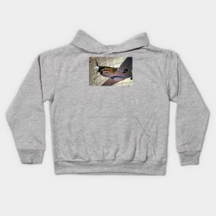 Jaws Kids Hoodie